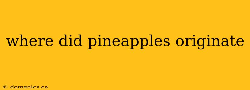 where did pineapples originate