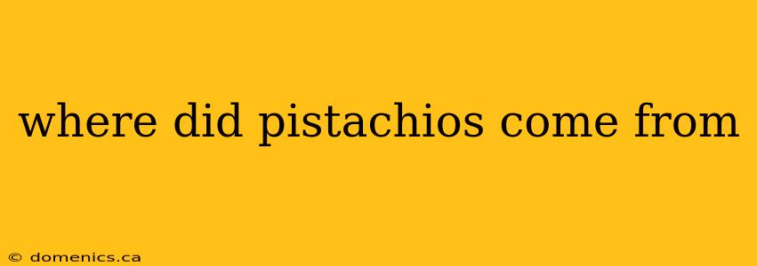 where did pistachios come from