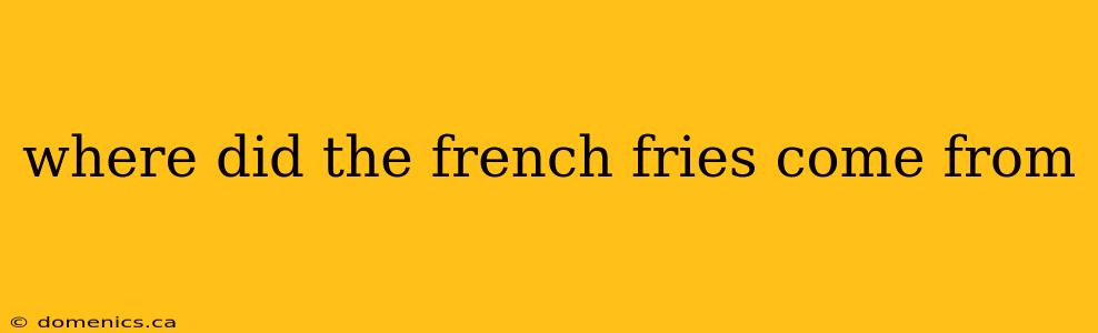 where did the french fries come from