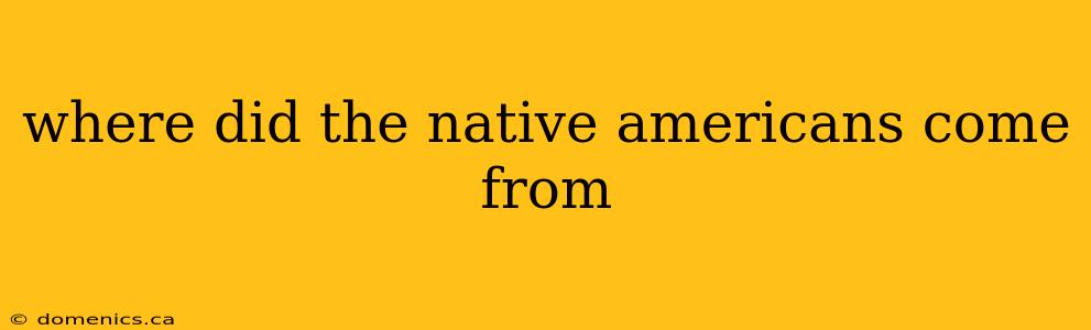 where did the native americans come from