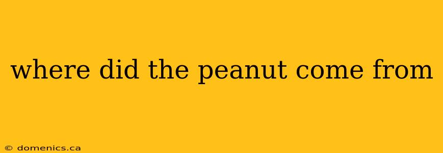 where did the peanut come from