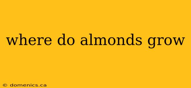 where do almonds grow