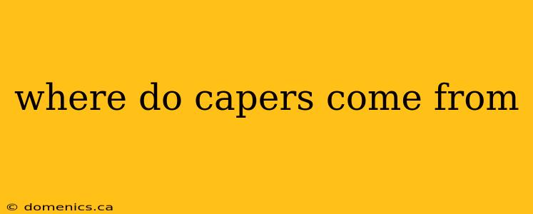 where do capers come from