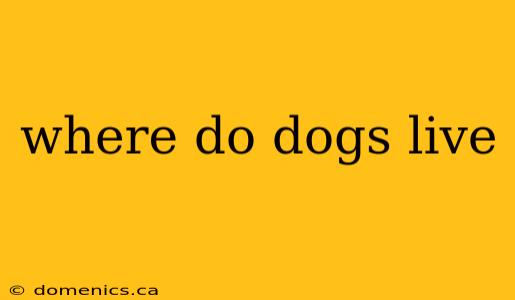 where do dogs live