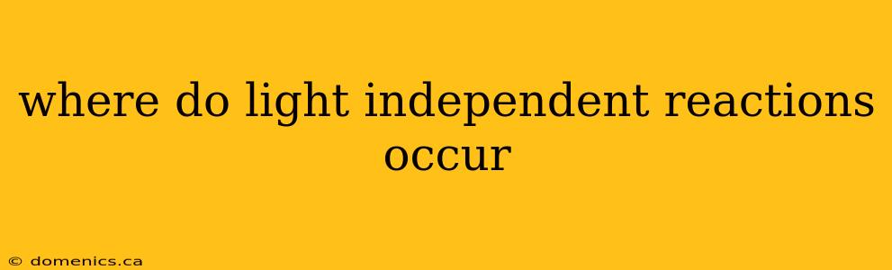 where do light independent reactions occur