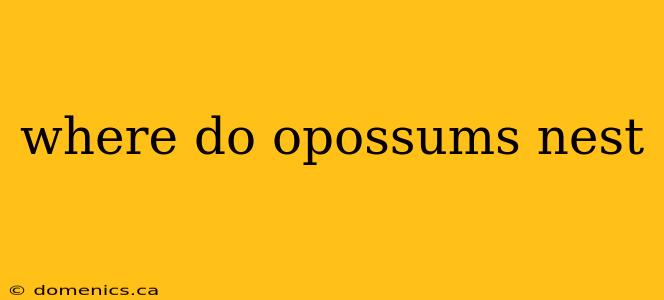 where do opossums nest