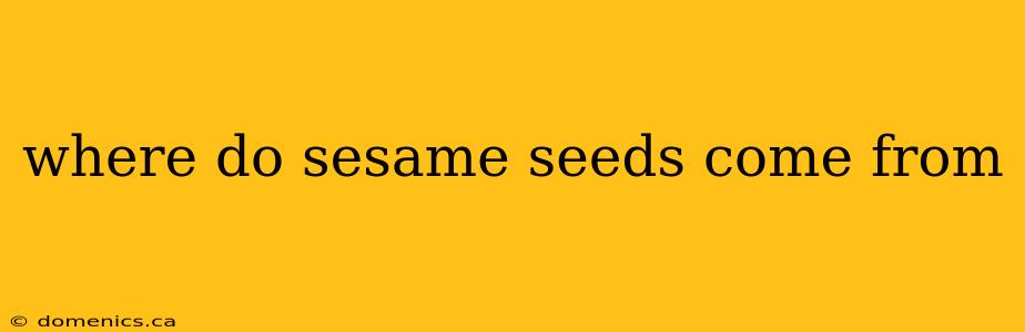 where do sesame seeds come from