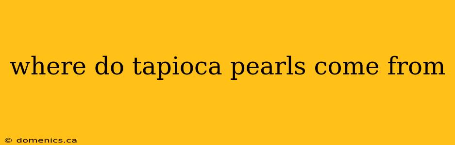 where do tapioca pearls come from