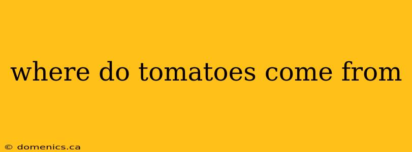 where do tomatoes come from