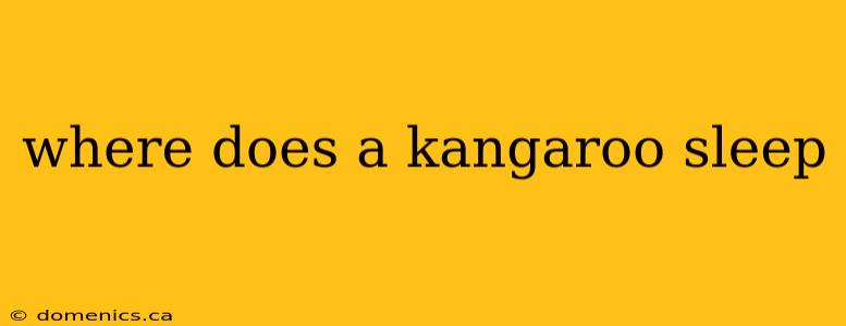 where does a kangaroo sleep