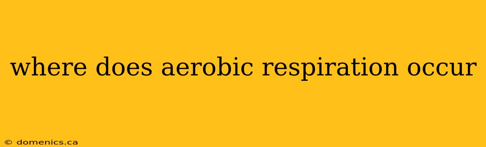 where does aerobic respiration occur