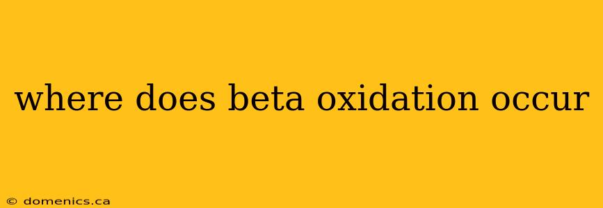 where does beta oxidation occur