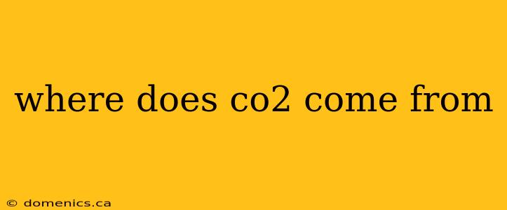 where does co2 come from