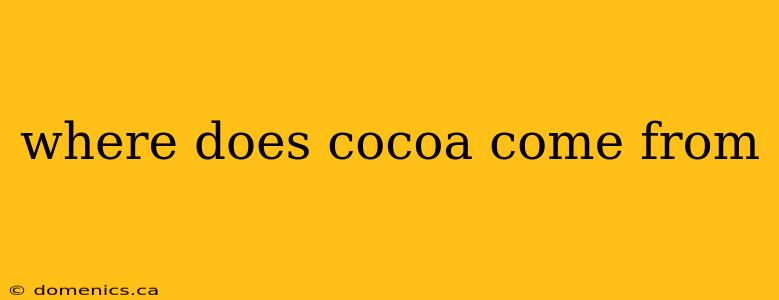 where does cocoa come from