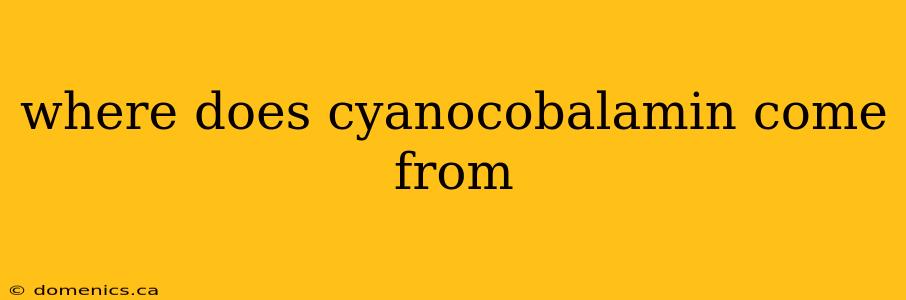 where does cyanocobalamin come from