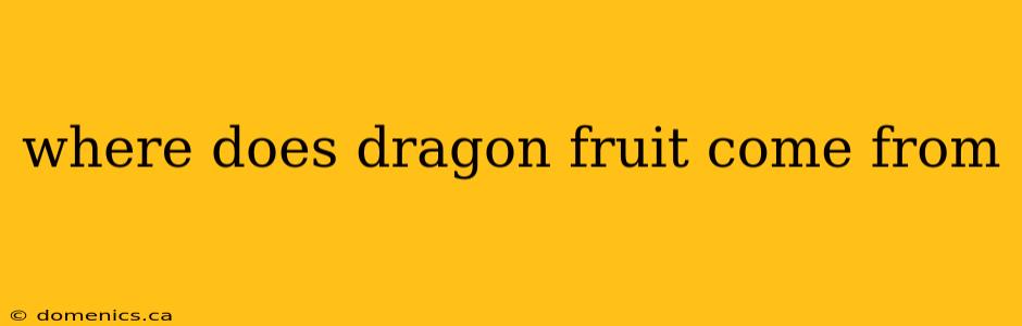 where does dragon fruit come from