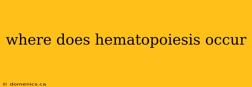 where does hematopoiesis occur