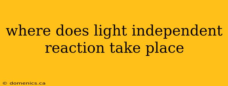 where does light independent reaction take place