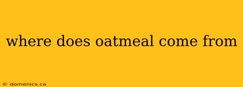 where does oatmeal come from