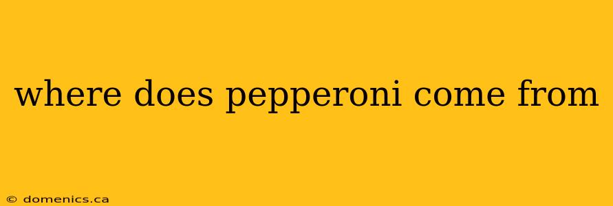 where does pepperoni come from