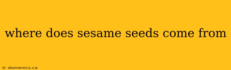 where does sesame seeds come from