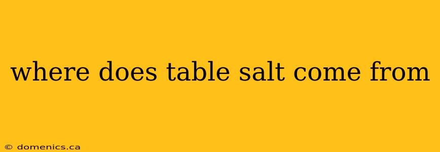 where does table salt come from