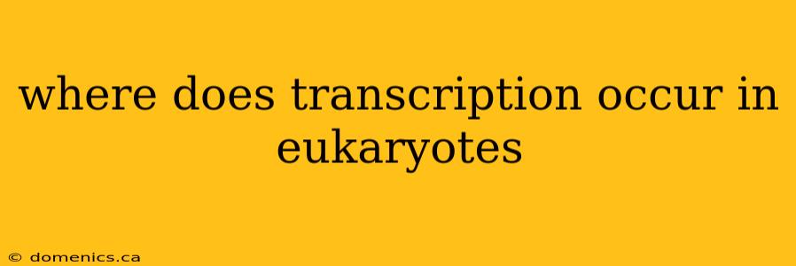 where does transcription occur in eukaryotes