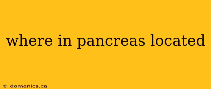 where in pancreas located