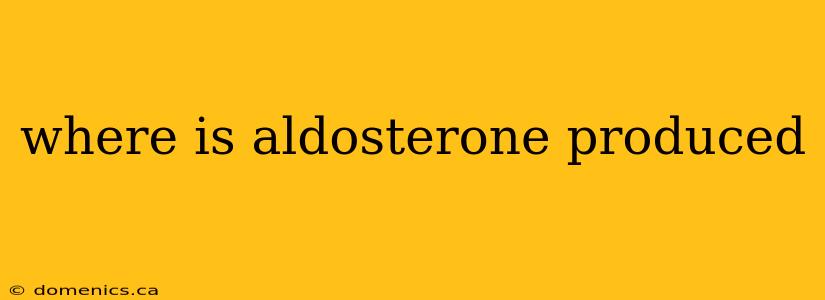 where is aldosterone produced