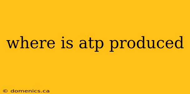 where is atp produced