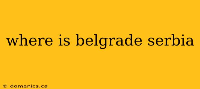 where is belgrade serbia