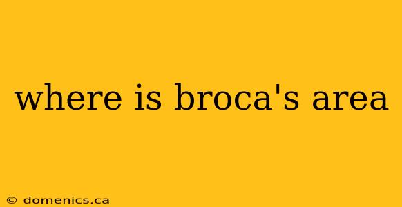 where is broca's area