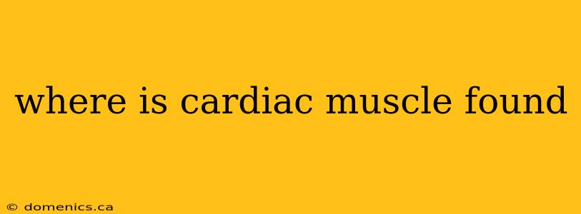 where is cardiac muscle found