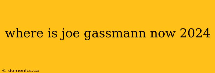 where is joe gassmann now 2024