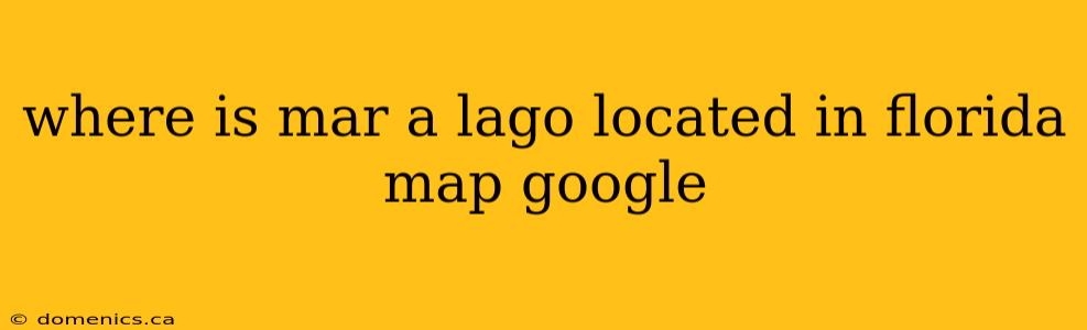 where is mar a lago located in florida map google