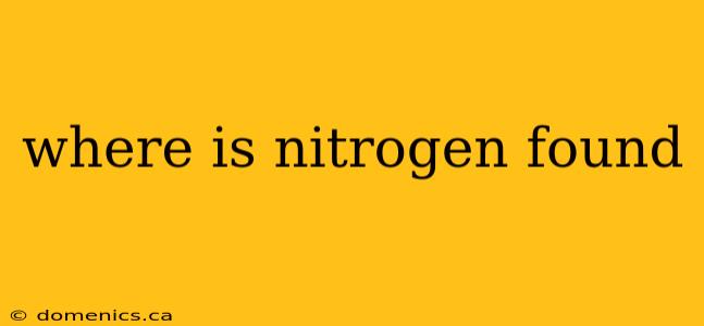 where is nitrogen found