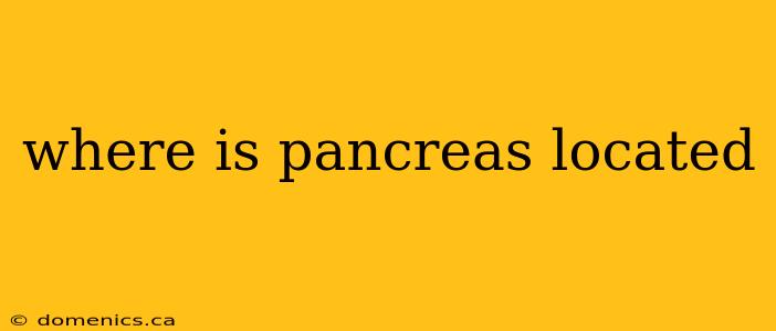 where is pancreas located