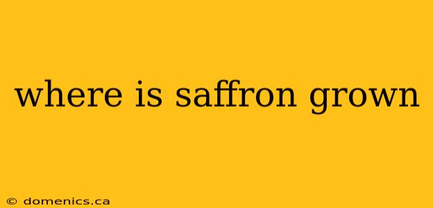 where is saffron grown