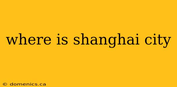 where is shanghai city