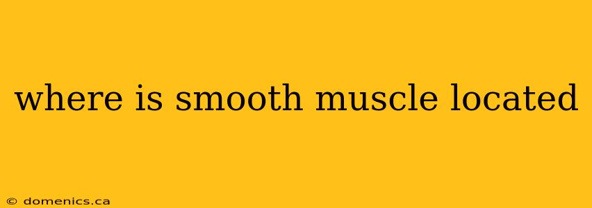 where is smooth muscle located