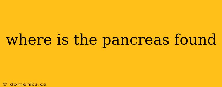 where is the pancreas found