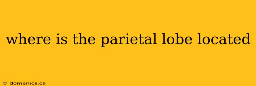 where is the parietal lobe located