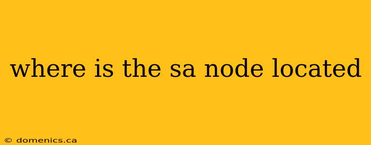 where is the sa node located