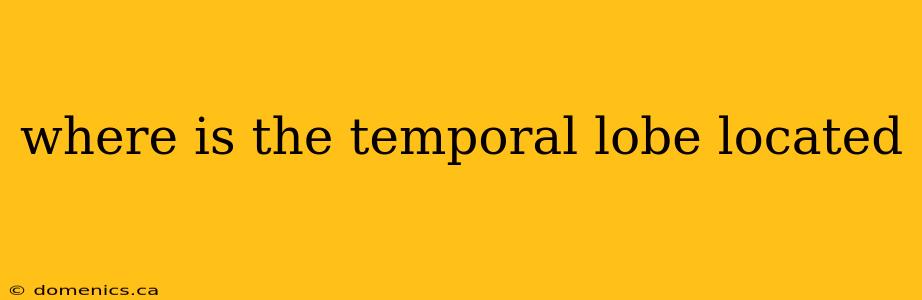 where is the temporal lobe located