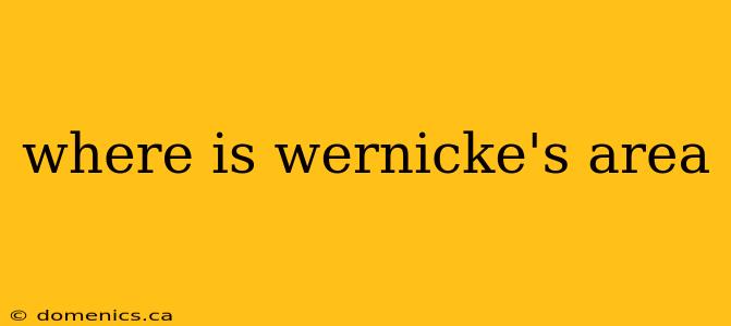 where is wernicke's area