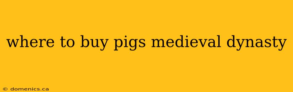 where to buy pigs medieval dynasty