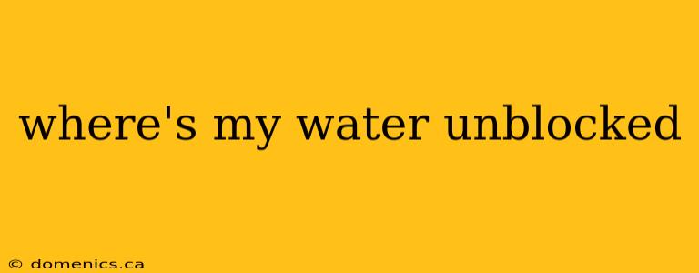 where's my water unblocked