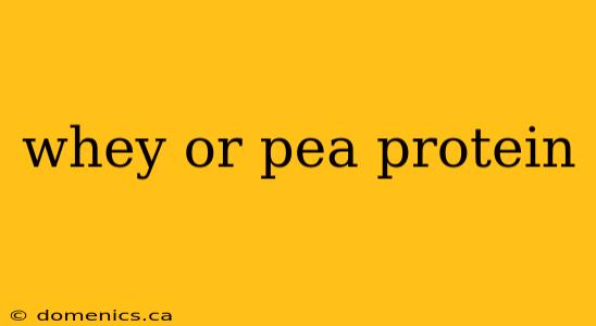 whey or pea protein