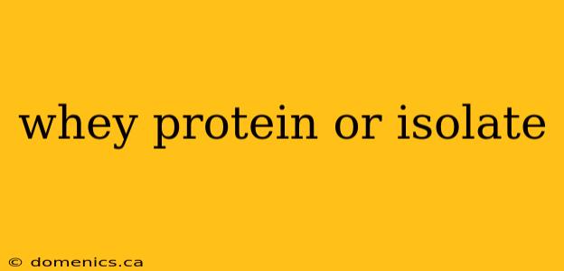 whey protein or isolate