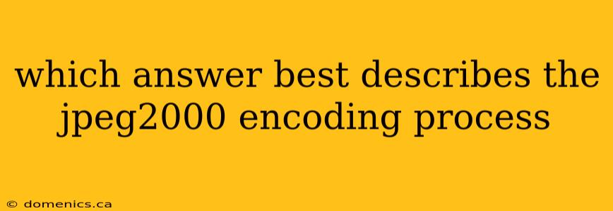 which answer best describes the jpeg2000 encoding process